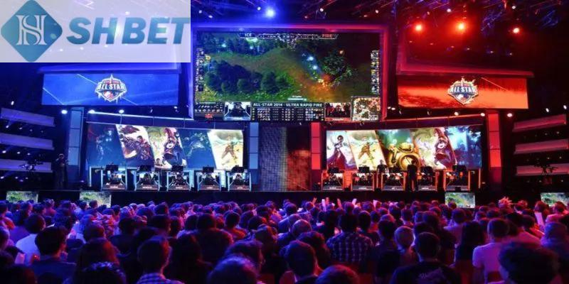 Lý do cá cược thể thao được yêu thích đến vậy