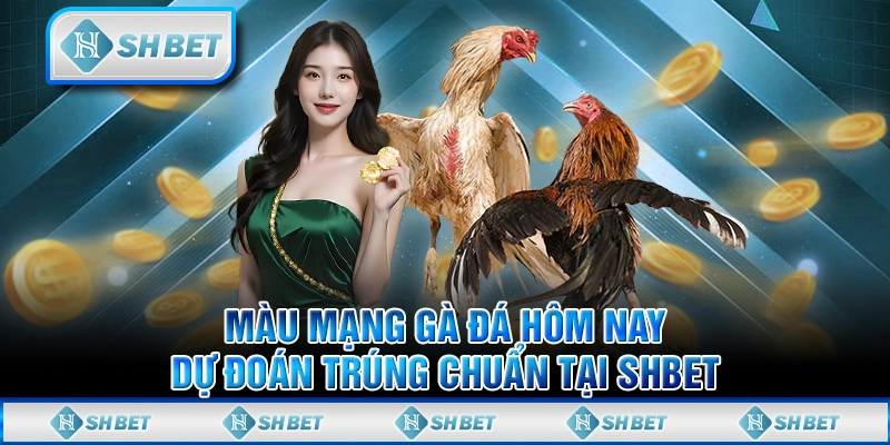 Màu Mạng Gà Đá Hôm Nay - Dự Đoán Trúng Chuẩn Tại SHBET
