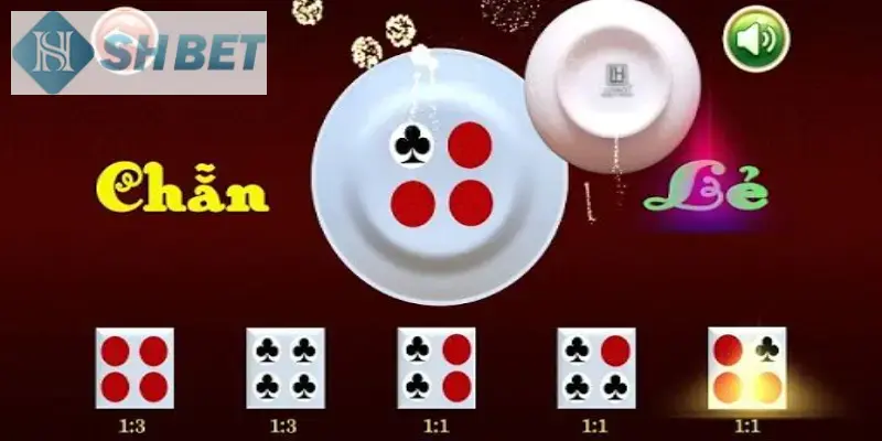 Khám phá tầm quan trọng của việc chơi cờ bạc