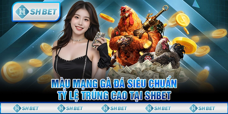 Màu Mạng Gà Đá Siêu Chuẩn, Tỷ Lệ Trúng Cao Tại SHBET