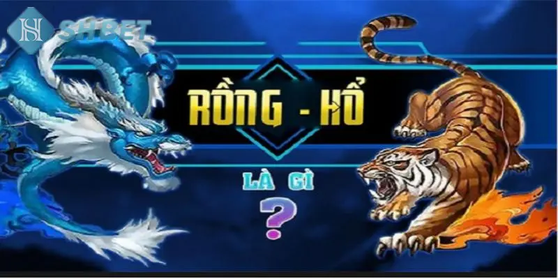 Mẹo để người chơi tham gia game rồng hổ lãnh nhiều thưởng