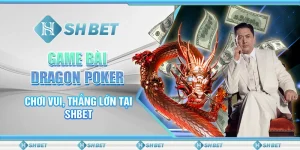 Game Bài Dragon Poker - Chơi Vui, Thắng Lớn Tại SHBET