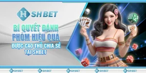 Bí Quyết Đánh Phỏm Hiệu Quả Được Cao Thủ Chia Sẻ Tại SHBET