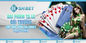Bài Phỏm Tá Lả Đổi Thưởng Cực Hấp Dẫn Tại SHBET Trực Tuyến