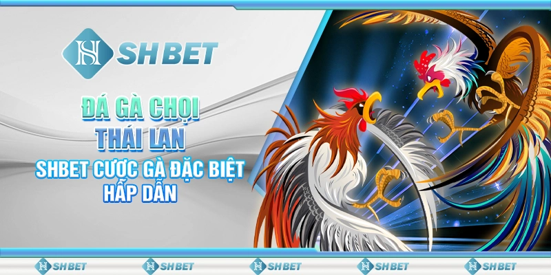Đá Gà Chọi Thái Lan – SHBET Cược Gà Đặc Biệt Hấp Dẫn