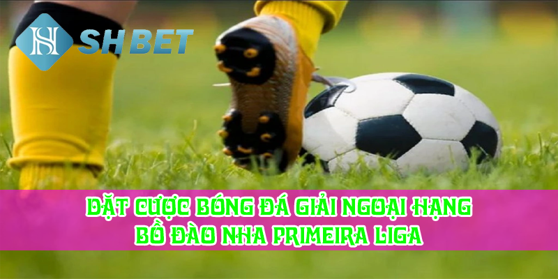 Tại sao nên chọn shbet làm sân chơi cược ngoại hạng