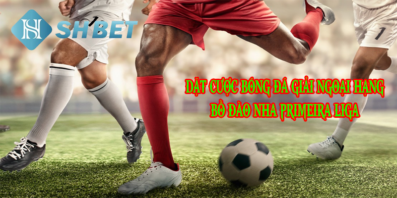 Chiến lược cược bách trúng bách thắng