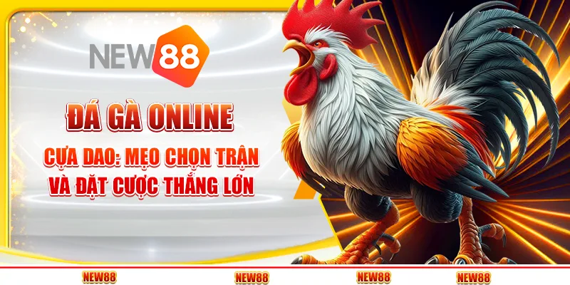 đá gà online cựa dao