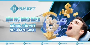 Nằm Mơ Rụng Răng - Giải Mã Giấc Mơ Ý Nghĩa Cùng SHBET