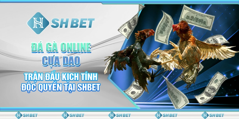 Đá Gà Online Cựa Dao: Trận Đấu Kịch Tính Độc Quyền Tại SHBET