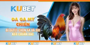 Đá Gà Mỹ Chiến: Bí Quyết Chọn Gà Và Soi Kèo Chuẩn Xác
