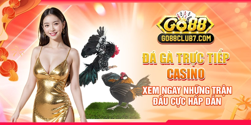 Đá Gà Trực Tiếp Casino: Xem Ngay Những Trận Đấu Cực Hấp Dẫn