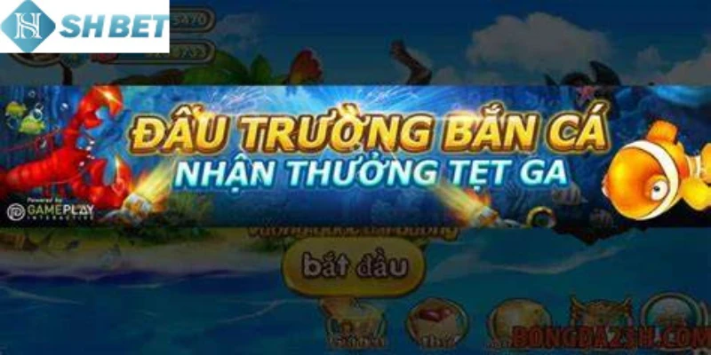Hệ sinh thái sinh vật biển đấu trường săn cá phong phú, thú vị