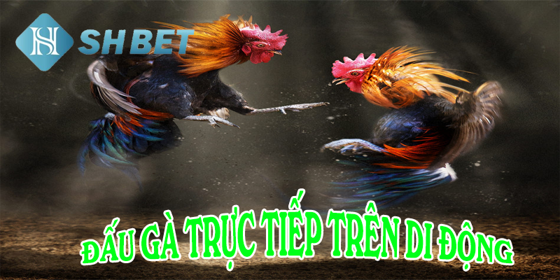 Tỉ lệ cược đáng để thử sức