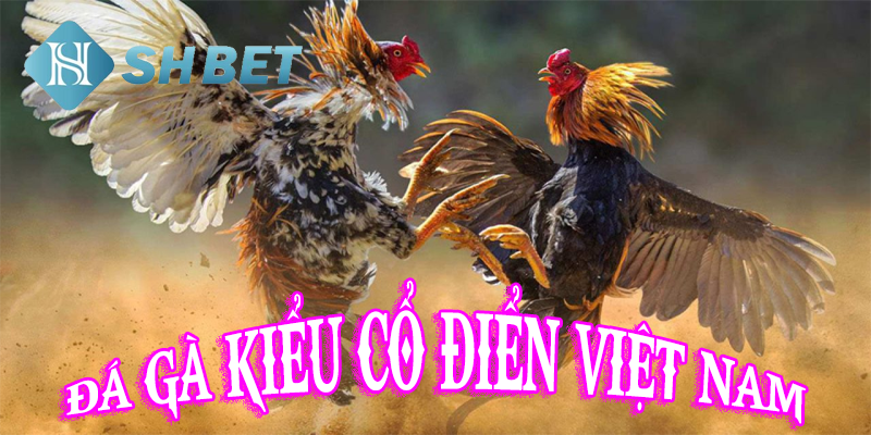 Thể lệ chơi hấp dẫn