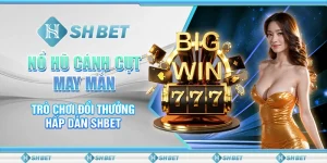 Nổ Hũ Cánh Cụt May Mắn - Trò Chơi Đổi Thưởng Hấp Dẫn SHBET