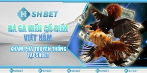 Đá Gà Kiểu Cổ Điển Việt Nam - Khám Phá Truyền Thống Tại SHBET