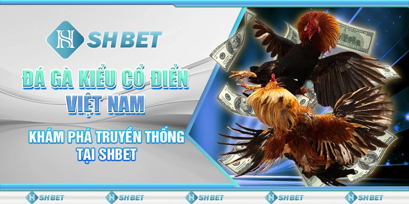 Đá Gà Kiểu Cổ Điển Việt Nam - Khám Phá Truyền Thống Tại SHBET