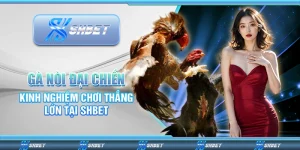 Gà Nòi Đại Chiến – Trận Đấu Quyết Liệt Mỗi Phút Giây SHBET