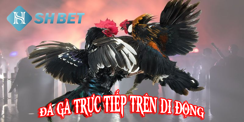 Trải nghiệm đa sắc màu