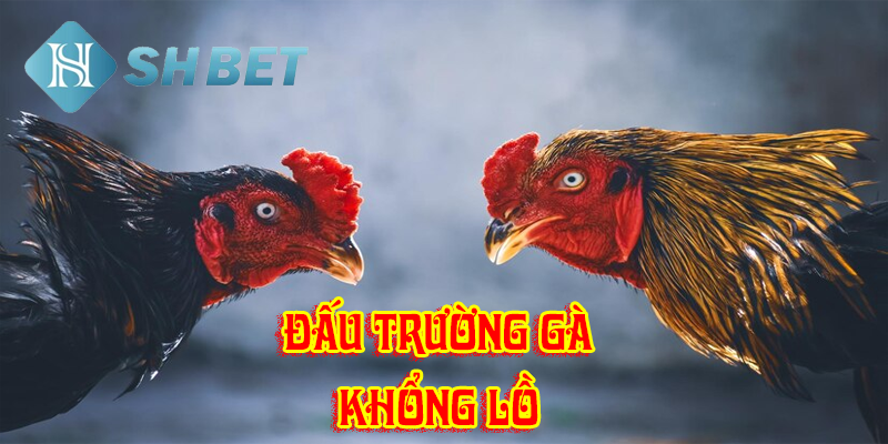 Đặt cược đơn giản, siêu dễ dàng