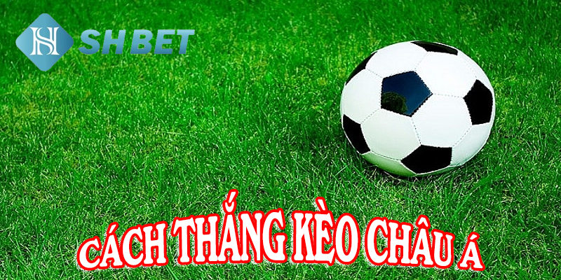Nghiên cứu mọi thông tin trước và trong trận đấu