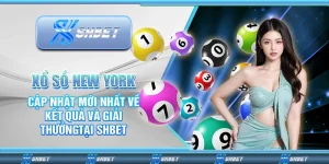 Xổ Số New York: Cập Nhật Mới Nhất Về Kết Quả Và Giải Thưởng Tại Shbet