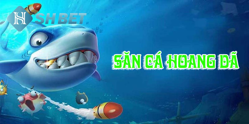 Trải nghiệm săn cá hoang dã thú vị