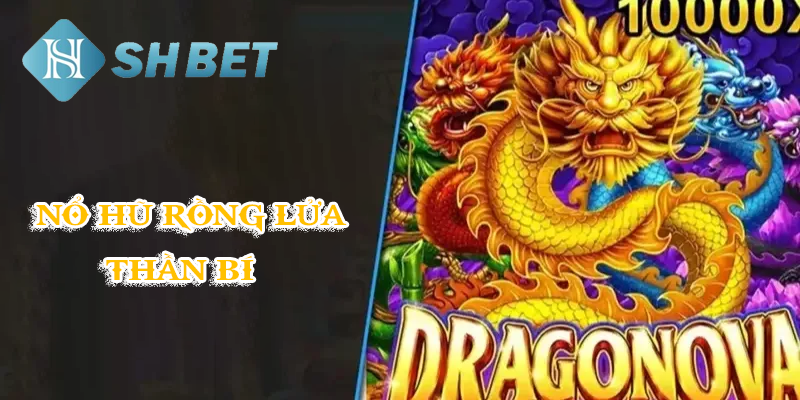 Hệ thống chăm sóc người chơi tận tâm, uy tín