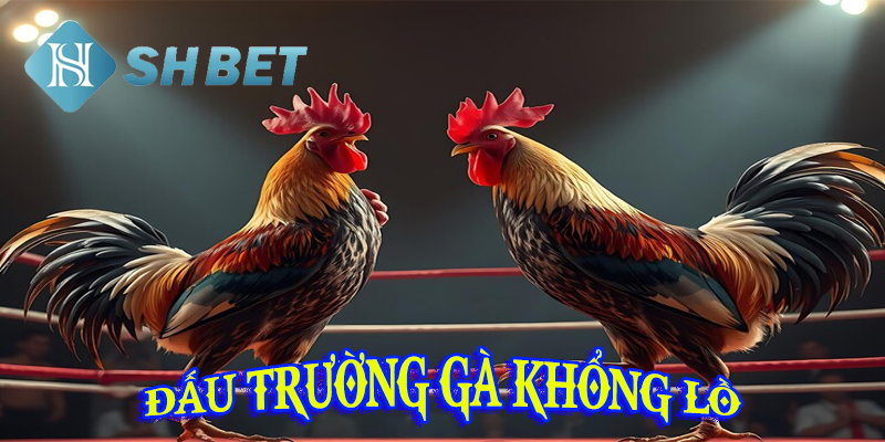 Trải nghiệm tính năng vượt trội