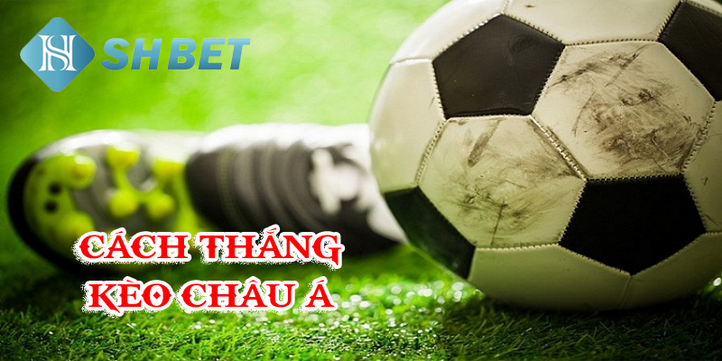 Lựa chọn hình thức đặt cược phù hợp