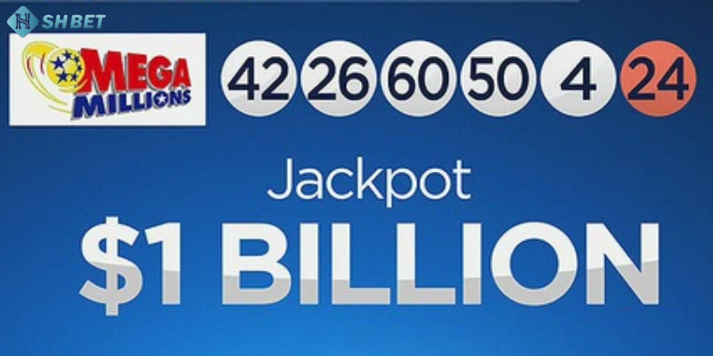 Giao diện tra cứu kết quả xổ số New York nhanh chóng và chính xác.