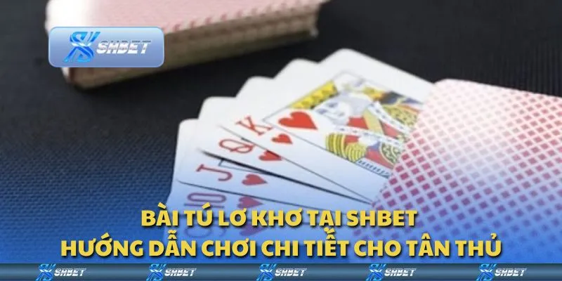 Bài tú lơ khơ tại Shbet - Hướng dẫn chơi chi tiết cho tân thủ