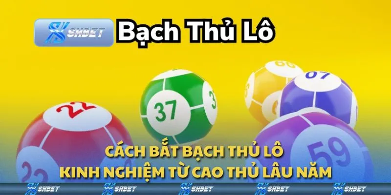 Cách bắt bạch thủ lô - Kinh nghiệm từ cao thủ lâu năm