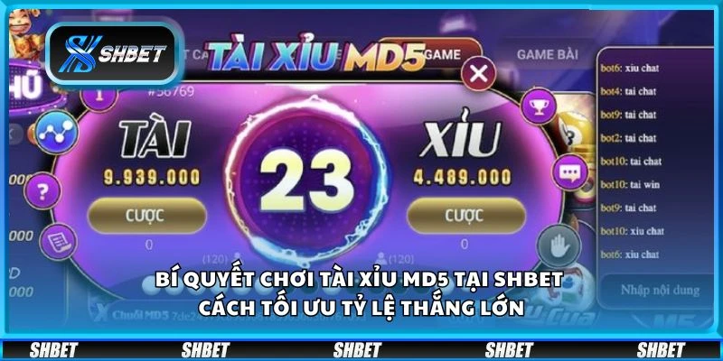 Bí quyết chơi tài xỉu MD5 tại shbet - Cách tối ưu tỷ lệ thắng lớn