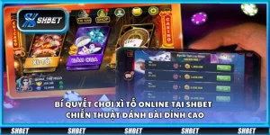 Bí quyết chơi xì tố online tại Shbet - Chiến thuật đánh bài đỉnh cao