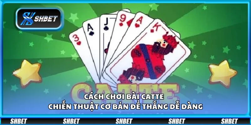 Cách chơi bài Catte - Chiến thuật cơ bản để thắng dễ dàng