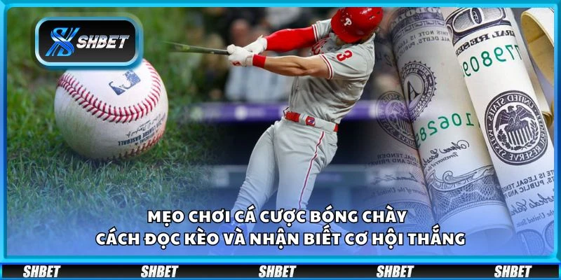 Mẹo chơi cá cược bóng chày – Cách đọc kèo và nhận biết cơ hội thắng