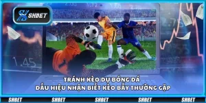 Tránh kèo dụ bóng đá - Dấu hiệu nhận biết kèo bẫy thường gặp