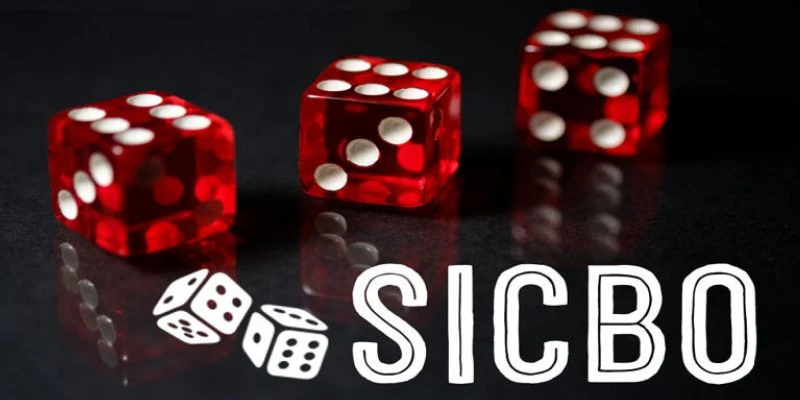 Tổng hợp các loại cầu Sicbo phổ biến 